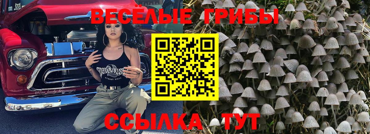 Галлюциногенные грибы Magic Shrooms  Вход с VPN  Алатырь 