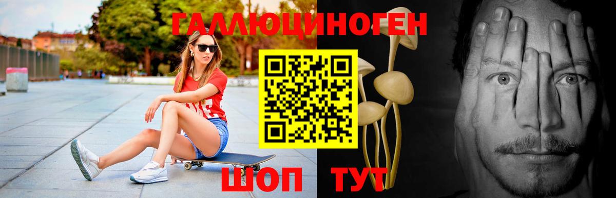 Псилоцибиновые грибы Psilocybine cubensis Алатырь
