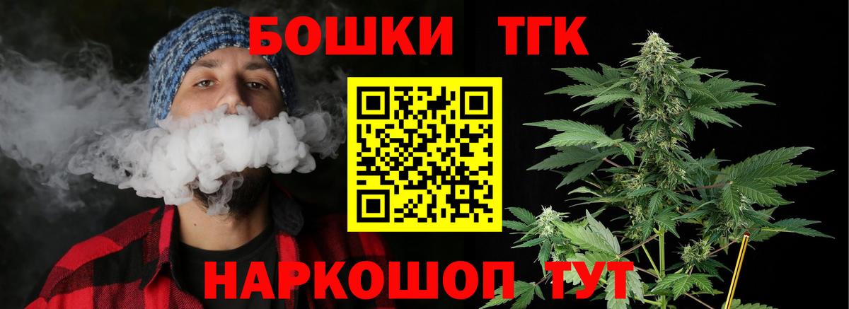 МЕФ Алатырь